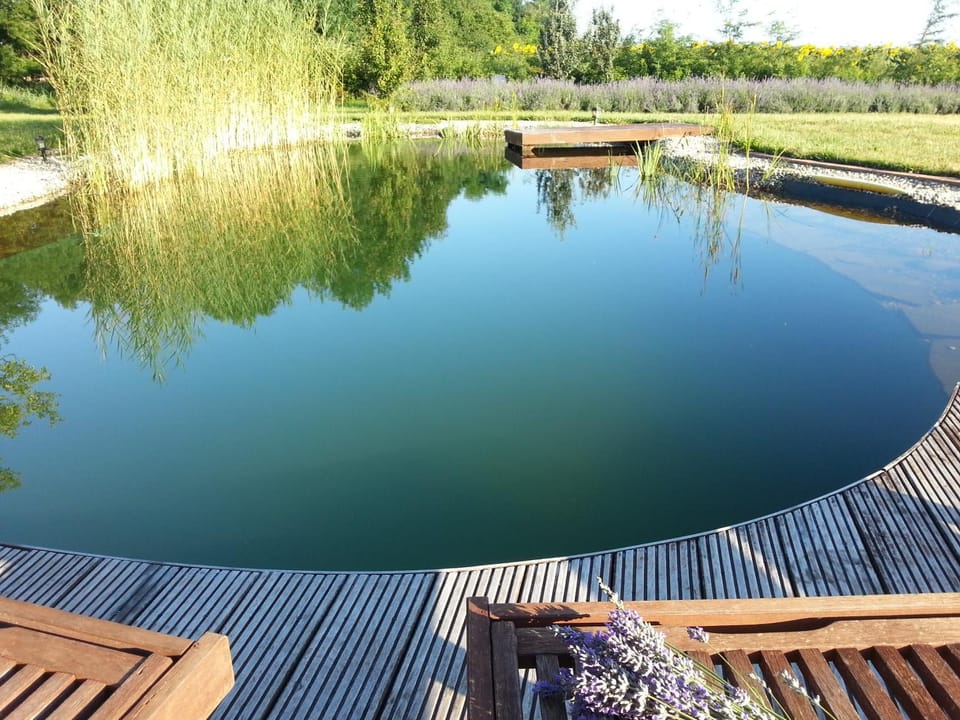 Beach, Swimming pool, Swimming pool, Open Air Bath