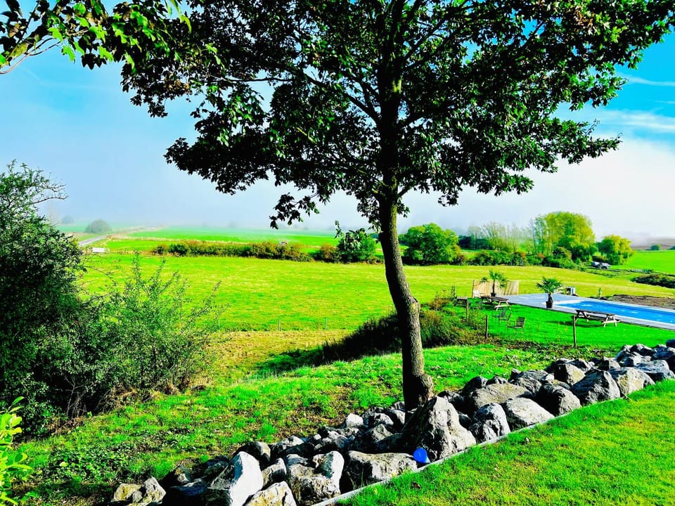 Nearby landmark, Spring, Day, Natural landscape, Garden, Garden view, Pool view, Swimming pool