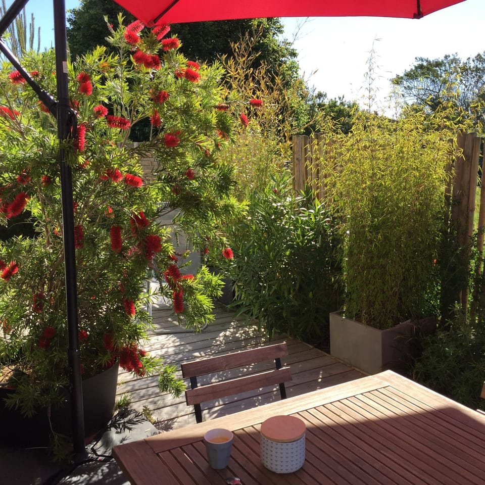 Balcony/Terrace, Balcony/Terrace