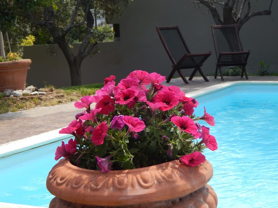 Garden view, Pool view