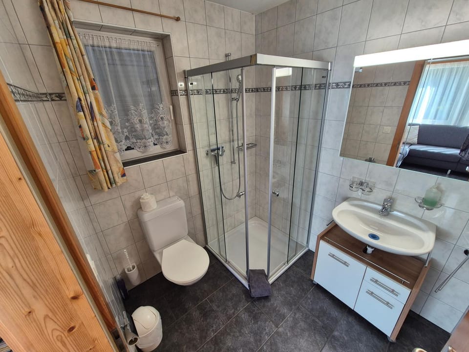 Shower, Toilet, Bathroom, towels