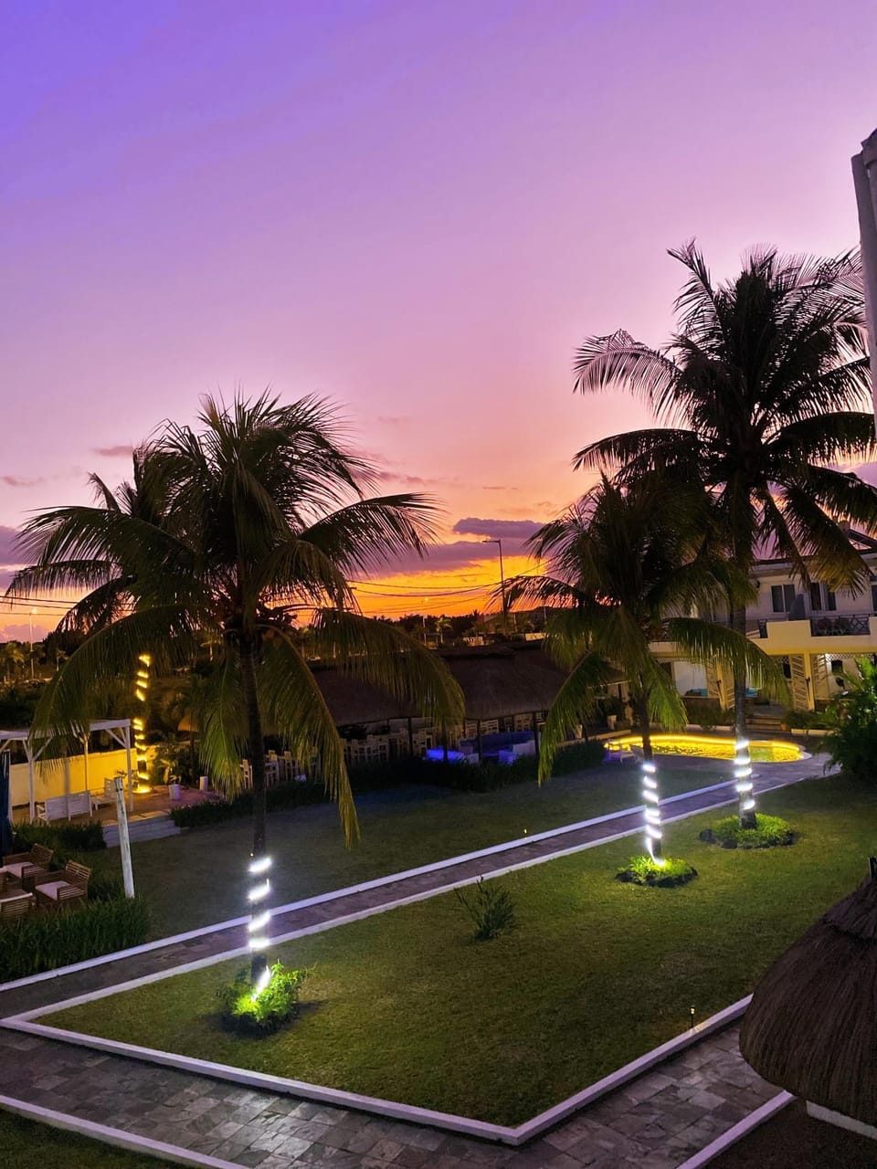 Garden, Garden, Pool view, Sunset