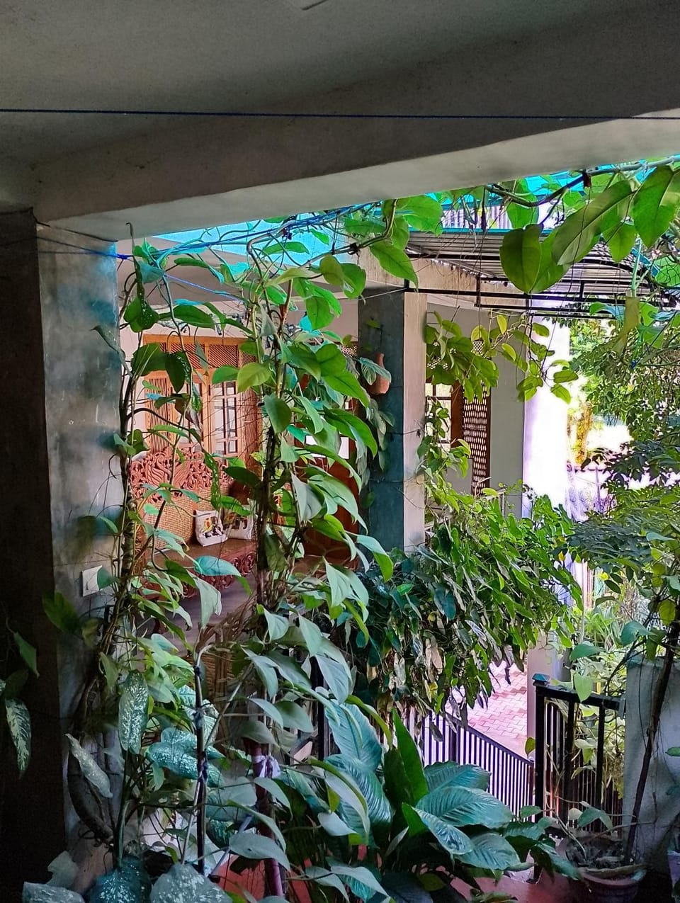 View (from property/room)
