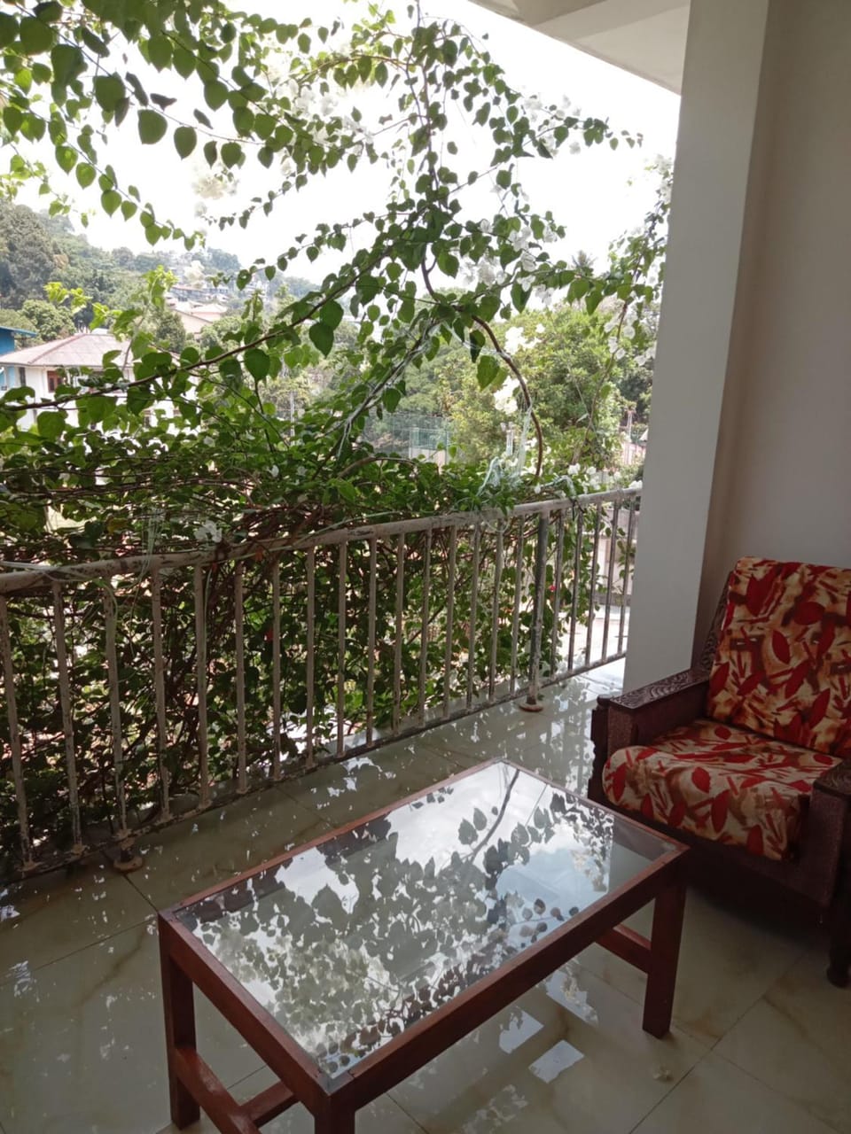 View (from property/room)