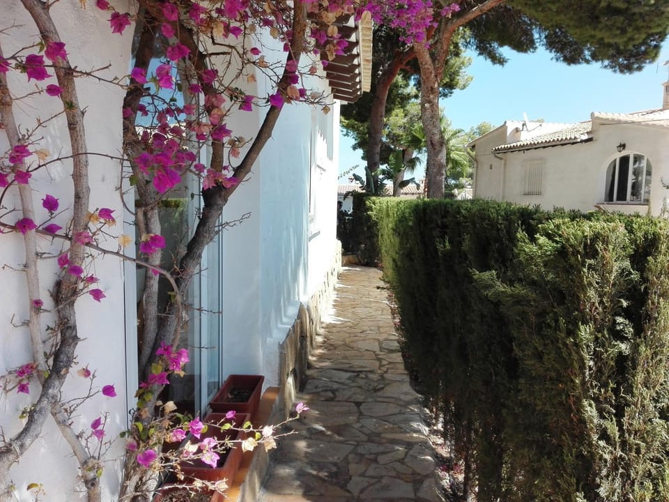 Garden, Garden view