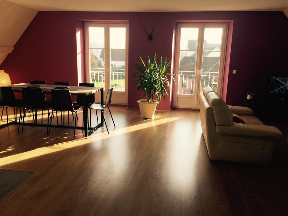 Meublés de Tourisme Heidelbeere Apartment in Grand Est