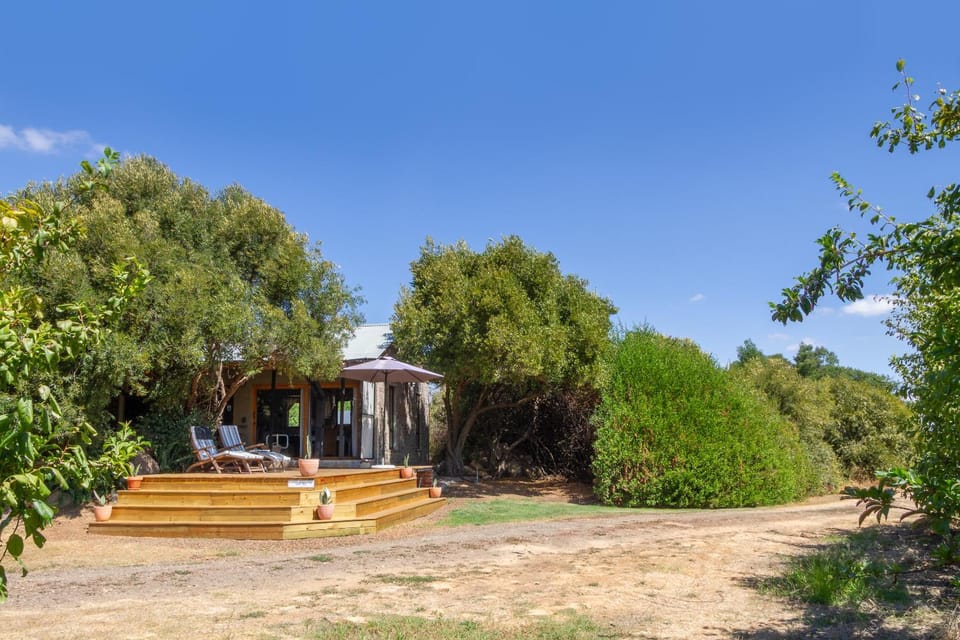 Property building, Day, Garden