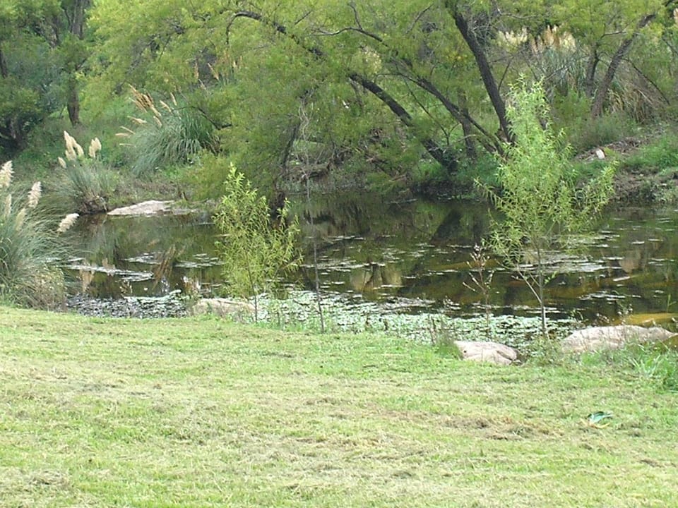 Natural landscape, River view