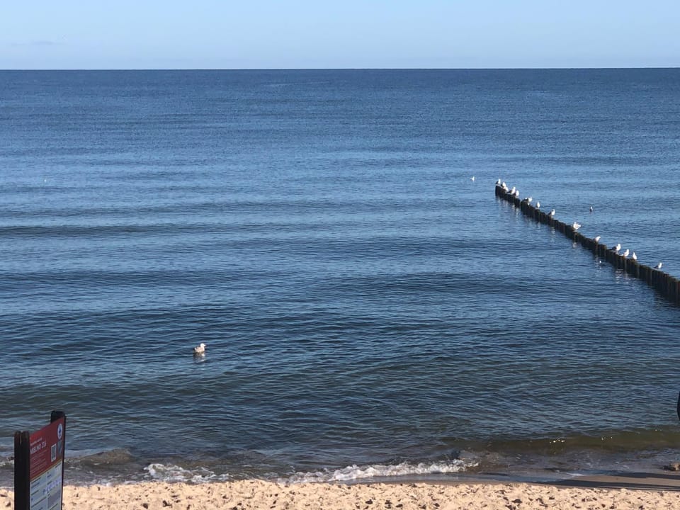 Natural landscape, Beach, Sea view