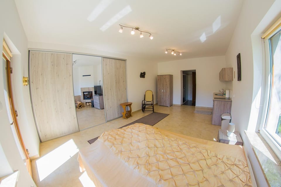 Kitchen or kitchenette, Bedroom