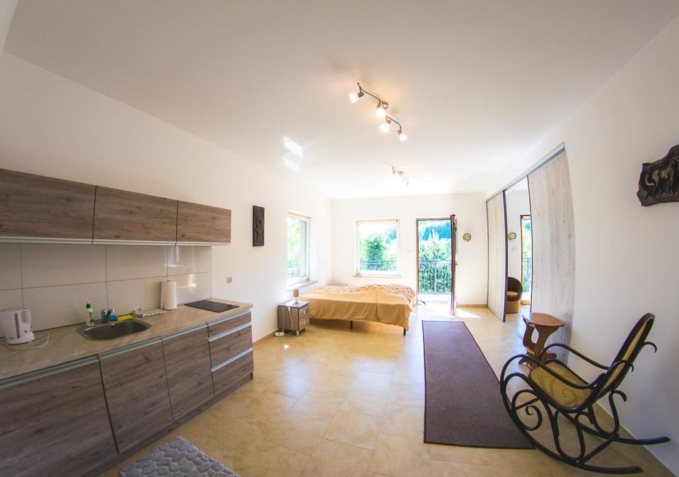 Kitchen or kitchenette, Bedroom