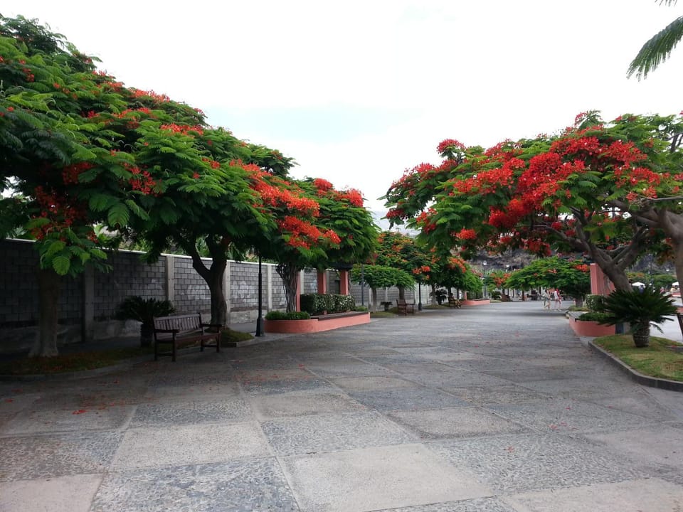 Quiet street view