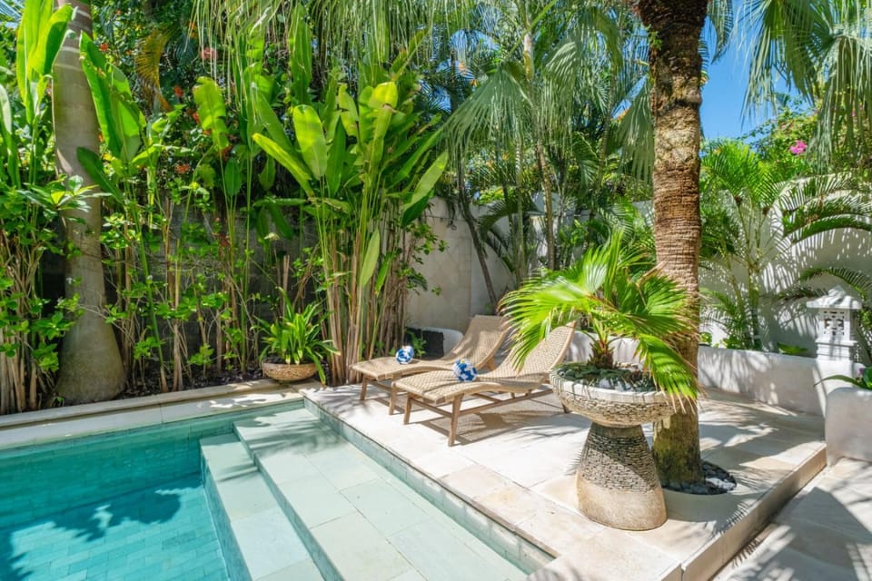 Patio, Day, Natural landscape, Garden, Garden view, Pool view, Swimming pool, sunbed