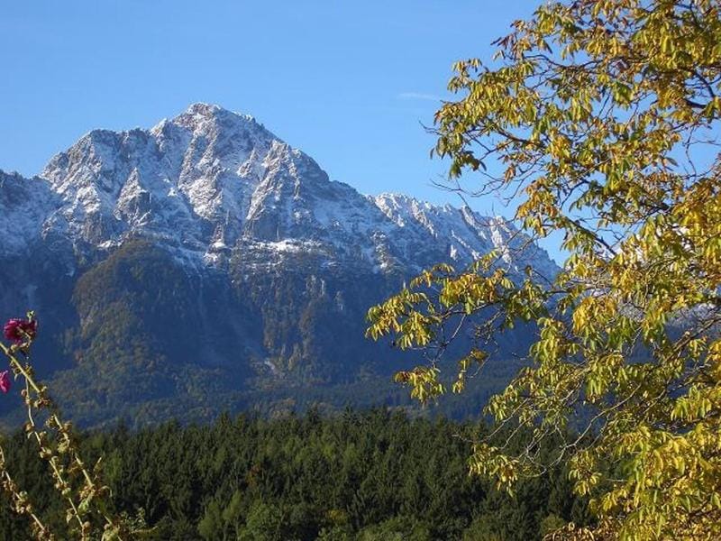 Huberbauernhof Ferienwohnungen Apartment in Berchtesgadener Land