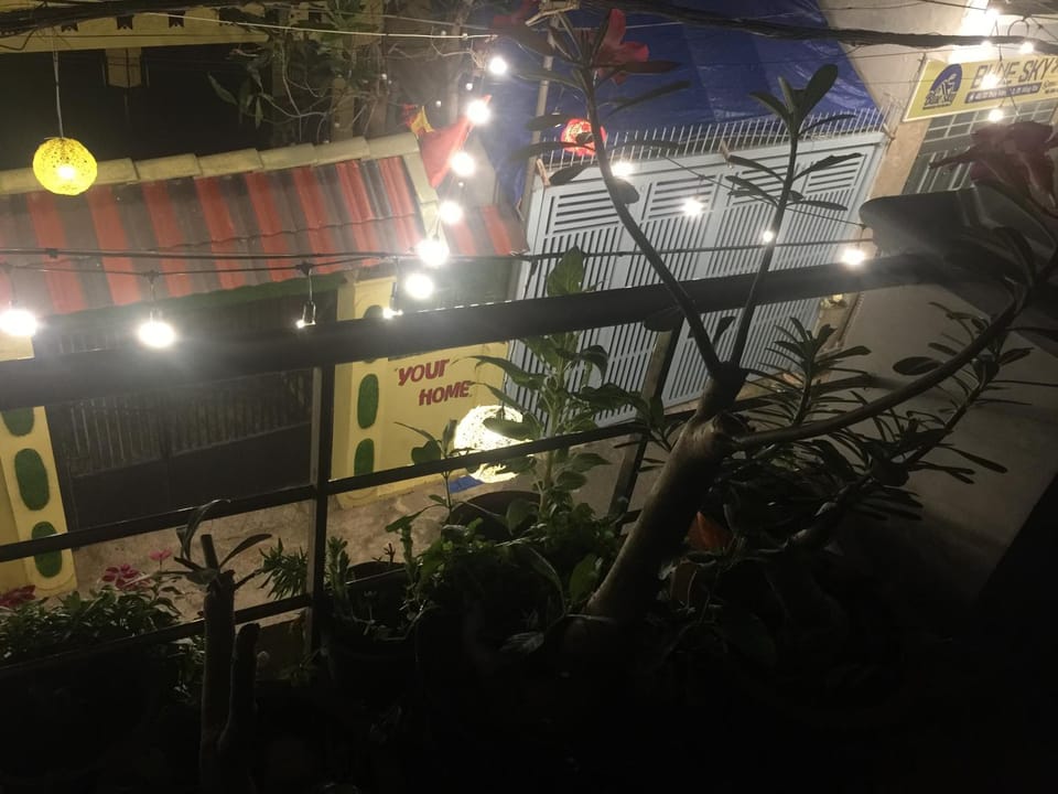 Night, Garden, Garden view