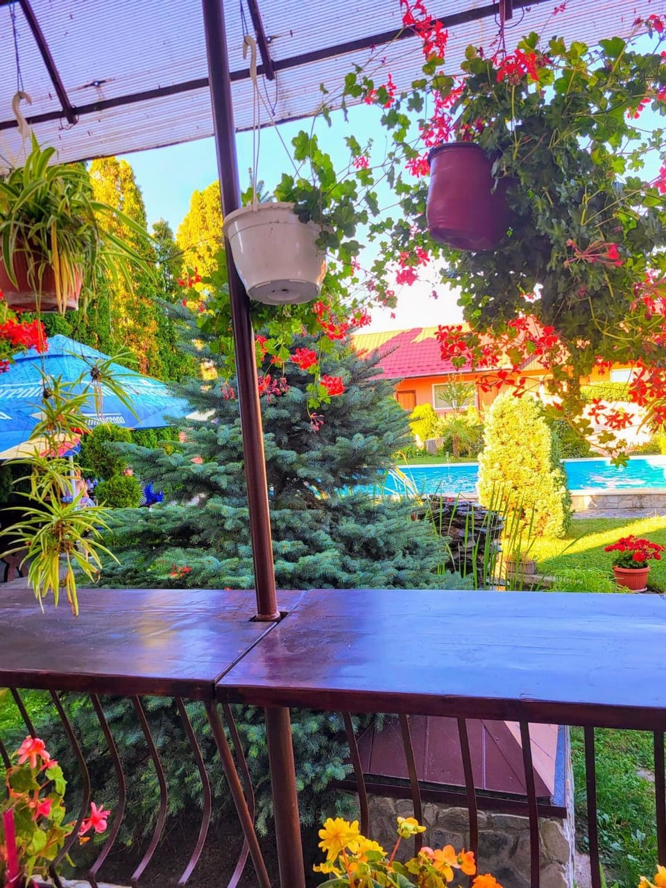 Spring, Day, View (from property/room)