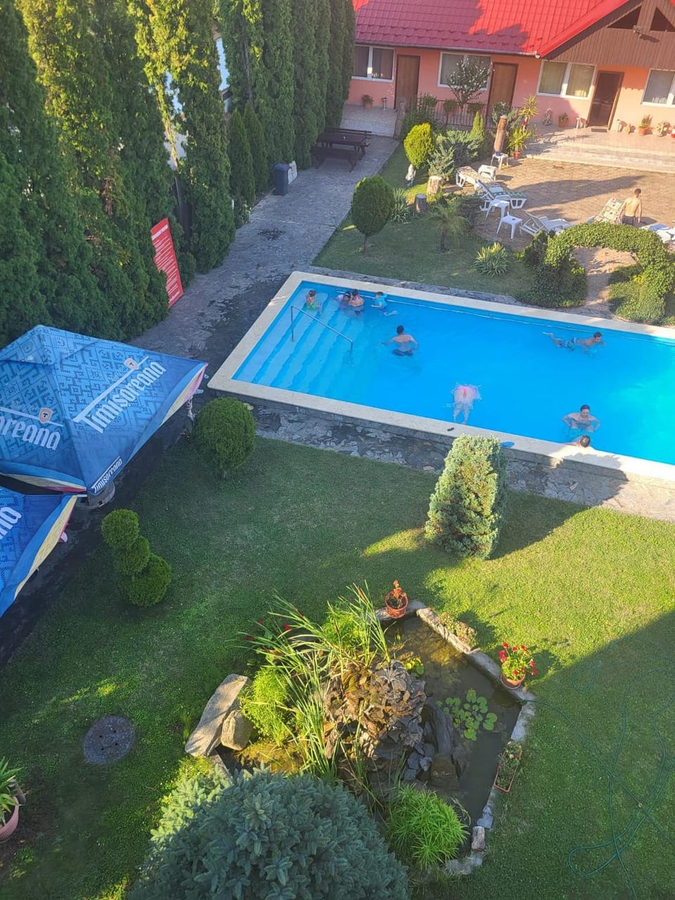 Garden view, Pool view, Swimming pool, sunbed