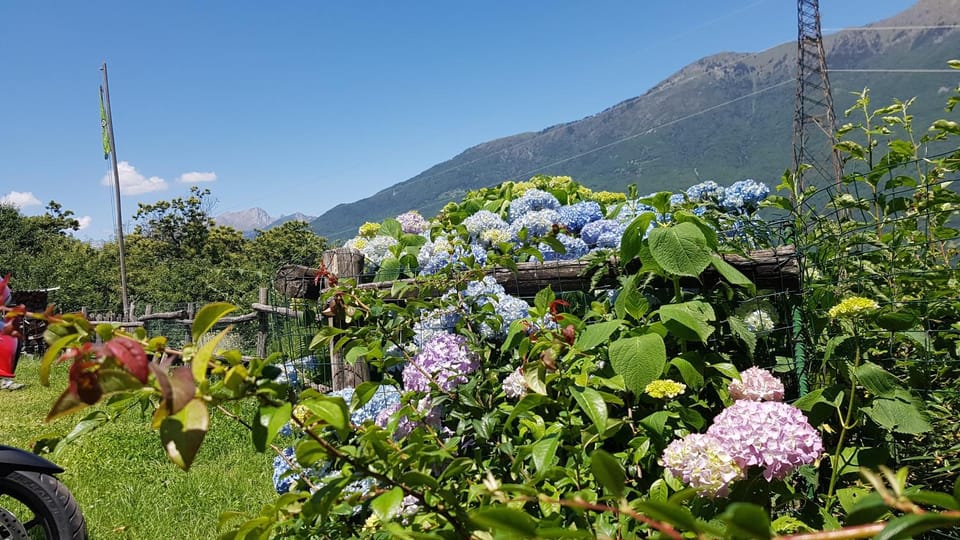 Agriturismo Volpe Golosa Farm Stay in Province of Lecco