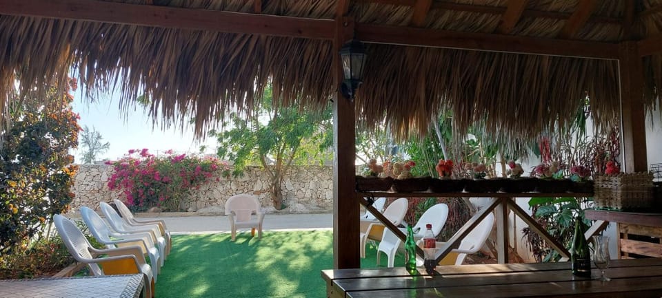 Hostal Johnnier Macao Punta Cana Bed and Breakfast in Punta Cana