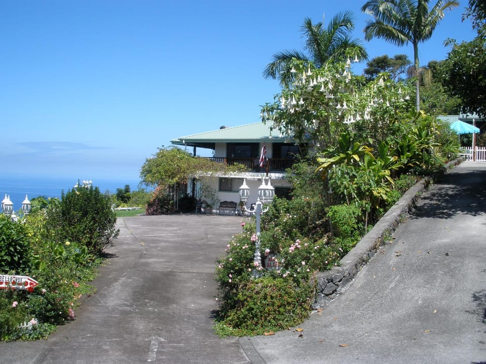 Property building, Natural landscape, Garden, Garden view, Sea view