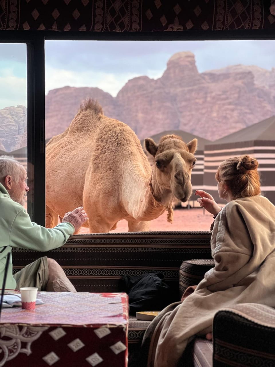 Desert Bird Camp Bed and Breakfast in South District