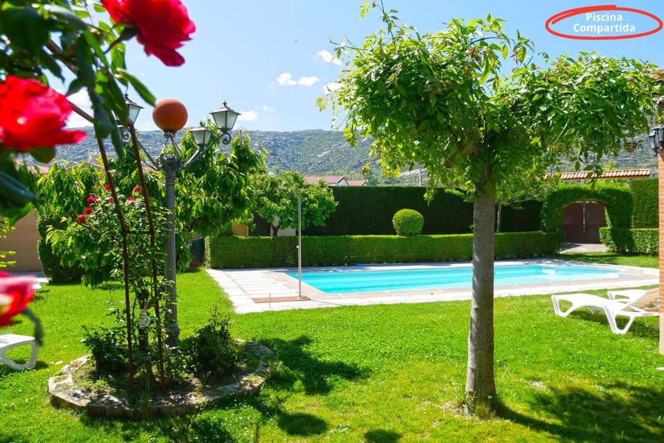 Garden, Pool view, Swimming pool