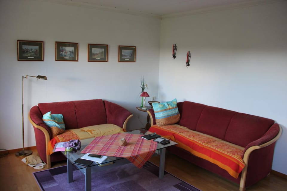 Day, Summer, Living room, Photo of the whole room, Decorative detail, Seating area, On site
