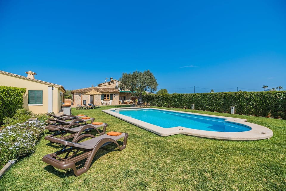 Garden, Swimming pool