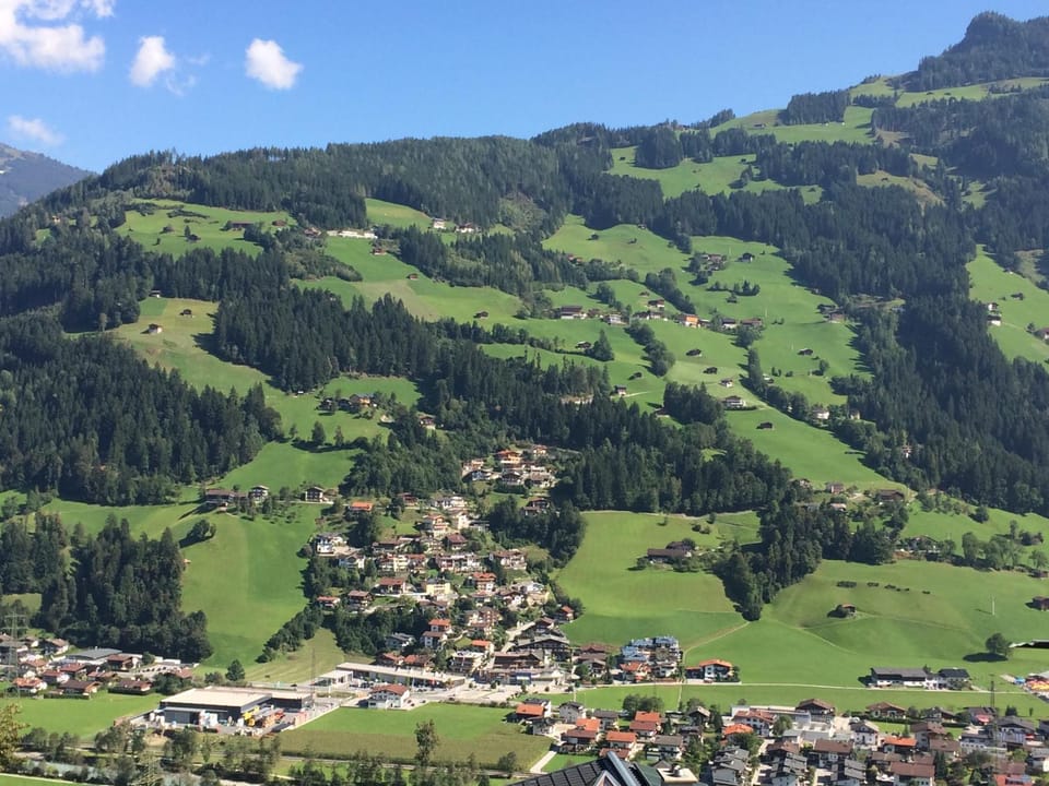 Summer, Mountain view
