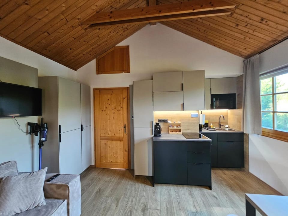 TV and multimedia, Kitchen or kitchenette, Living room, Seating area, Dining area, oven, stove