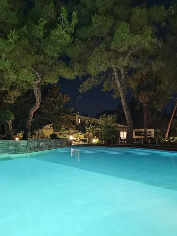 Night, Pool view, Swimming pool