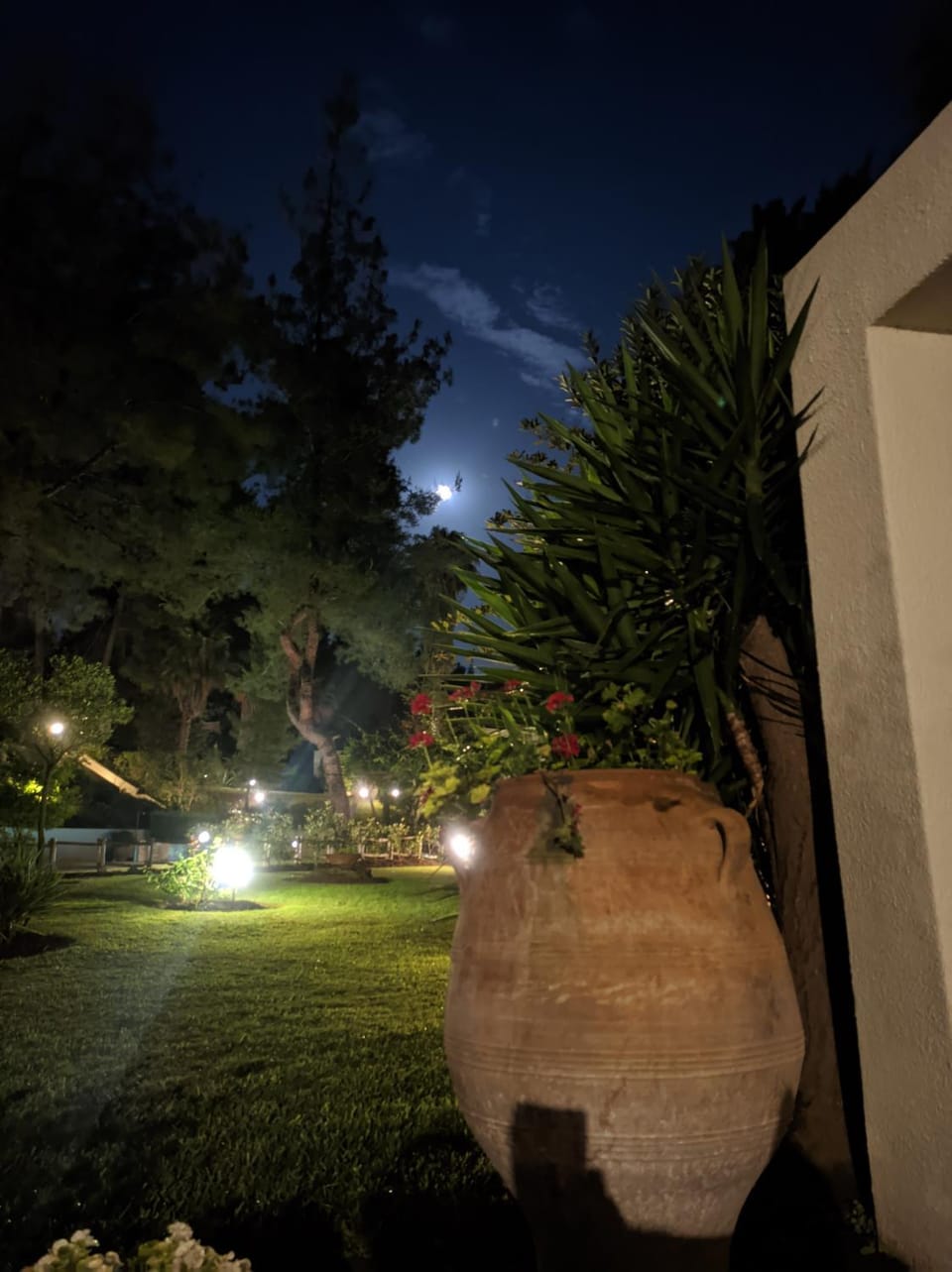Night, Garden, Garden view