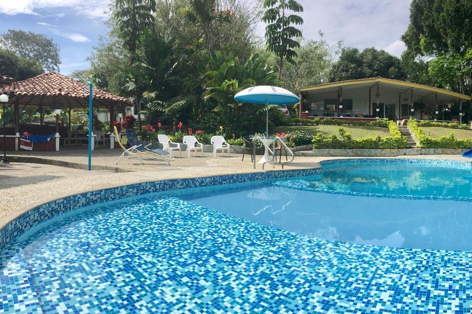 Garden, Swimming pool