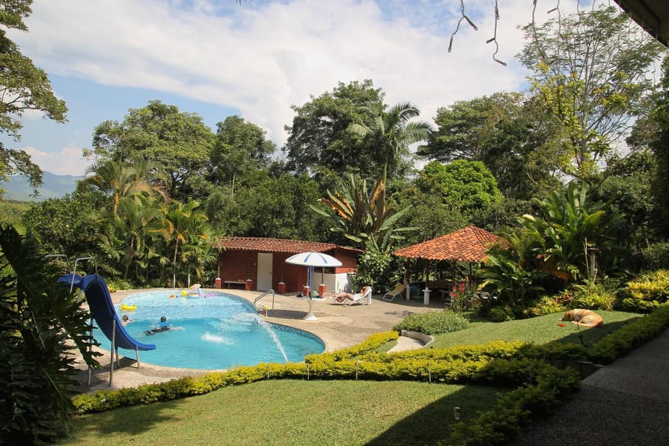 Garden, Pets, Garden view, Pool view, Swimming pool, Swimming pool