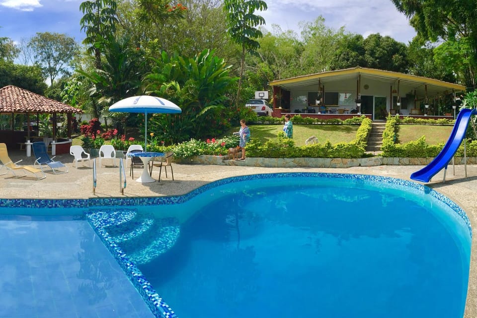 Garden, Garden view, Pool view, Swimming pool