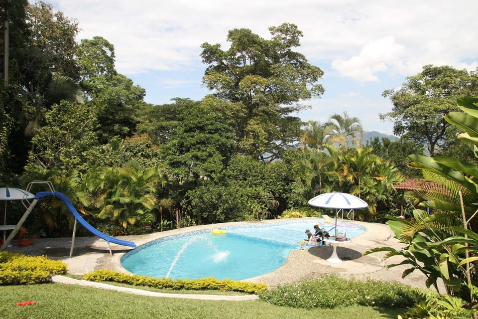 Garden, Garden view, Garden view, Pool view, Swimming pool