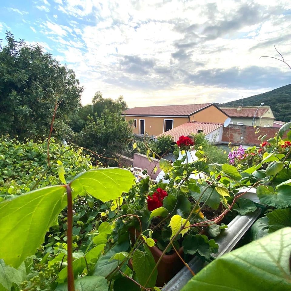 Property building, Garden