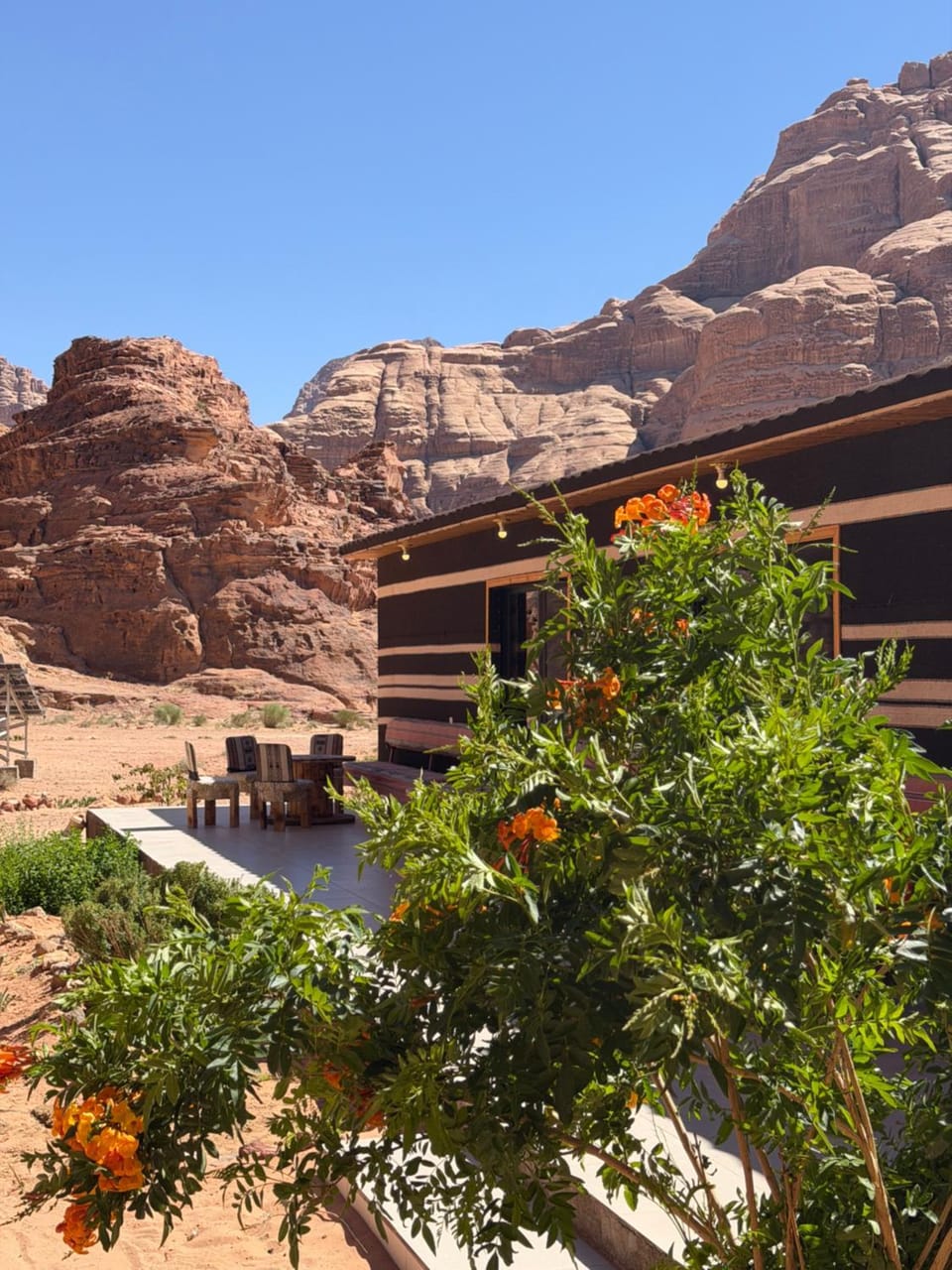 Wadi Rum Desert Secret Bed and Breakfast in Africa