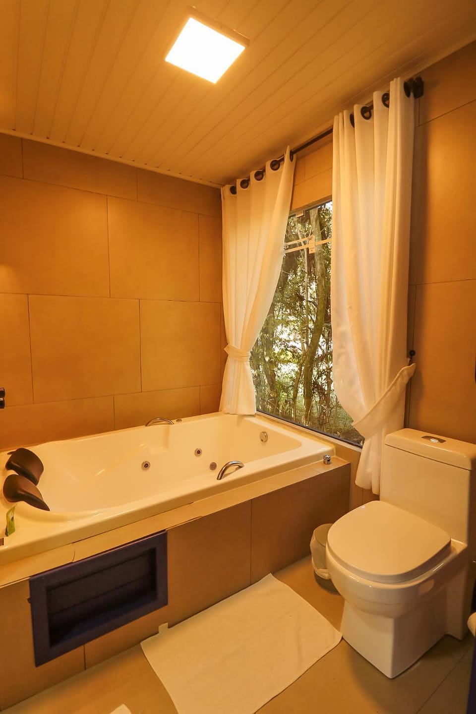 Toilet, Hot Tub, Bathroom
