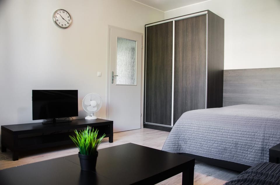 Bed, TV and multimedia, Living room, Photo of the whole room, Seating area, On site