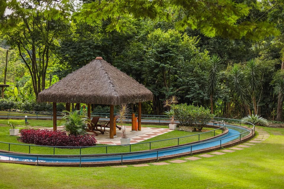 Natural landscape, Garden, Balcony/Terrace, Pool view, Swimming pool