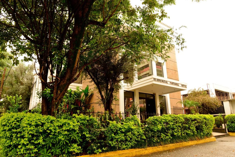 Property building, Facade/entrance, Garden