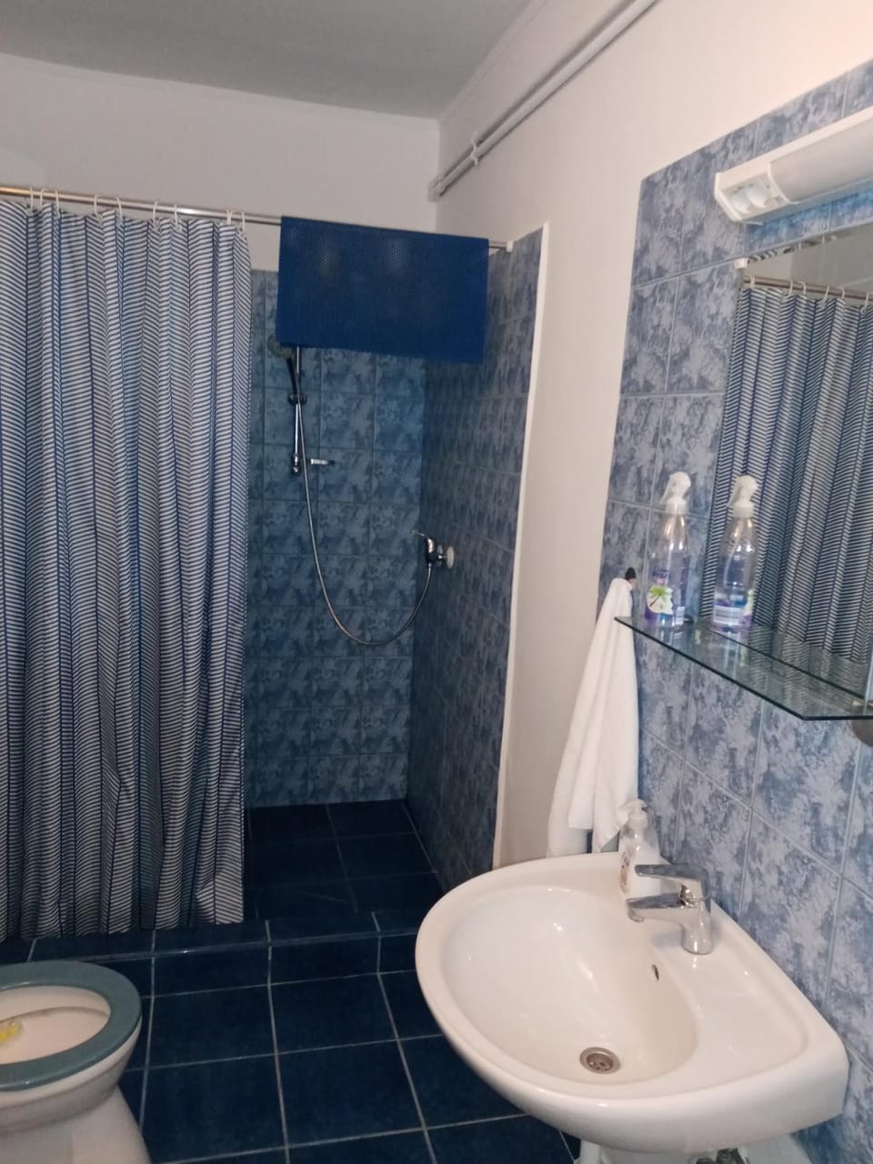 Shower, Toilet, Bathroom