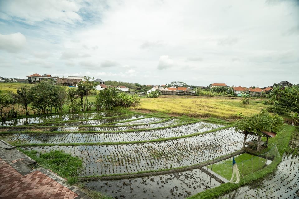 Natural landscape