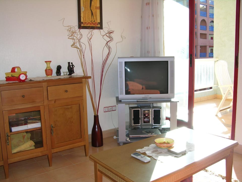 TV and multimedia