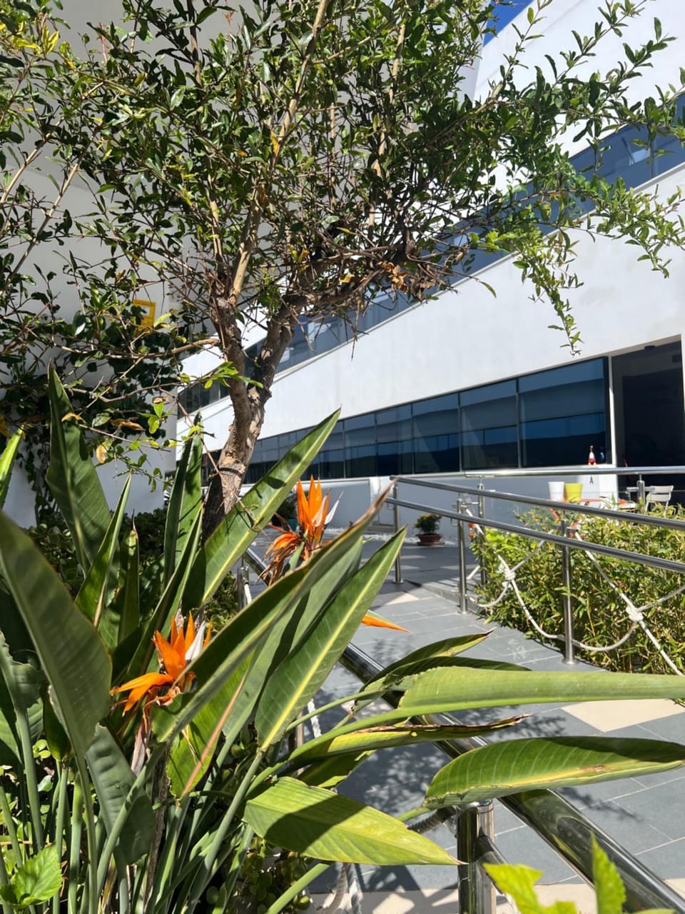 Garden view