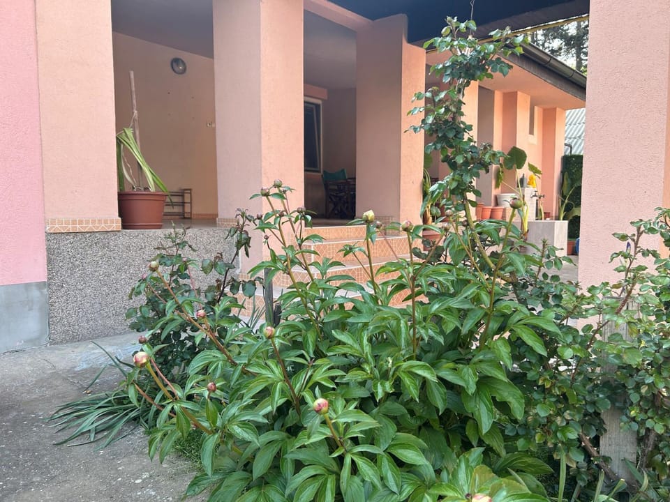 Milica Apartmani Apartment in Vojvodina