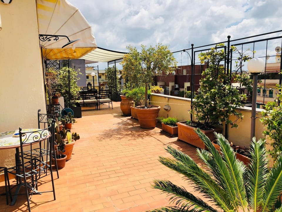 Spring, Day, Balcony/Terrace