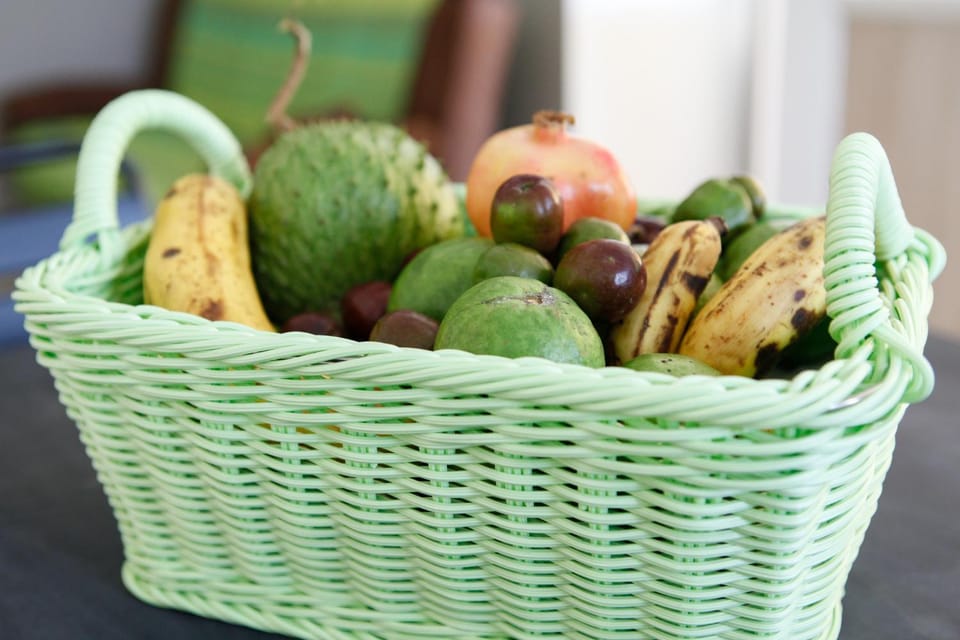 Natural landscape, Summer, Garden, Garden view, Supermarket/grocery shop