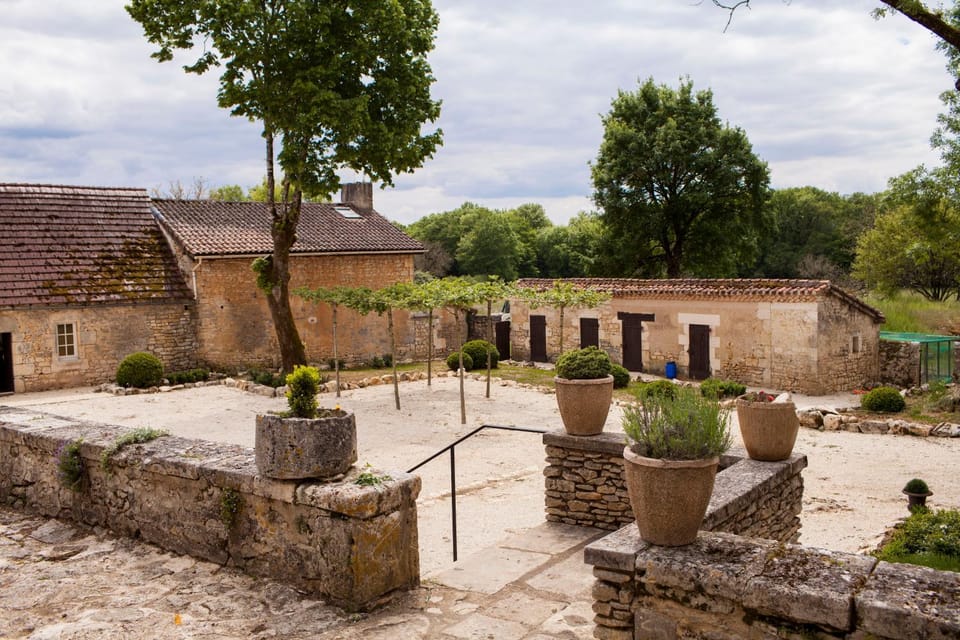 Property building, Garden view